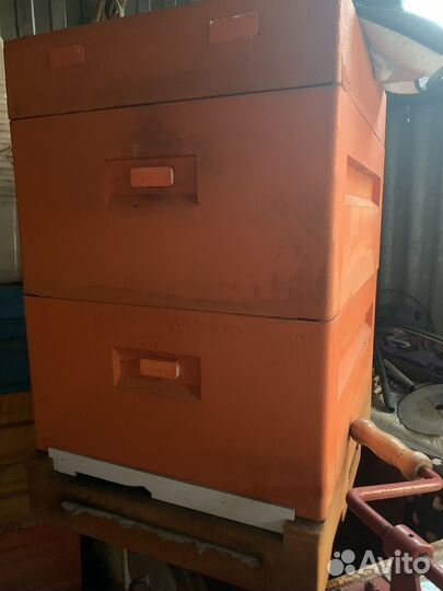 Ульи дадан и рута