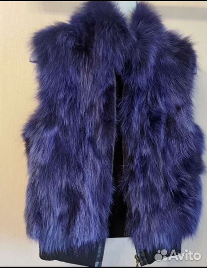 Синий жилет, песец