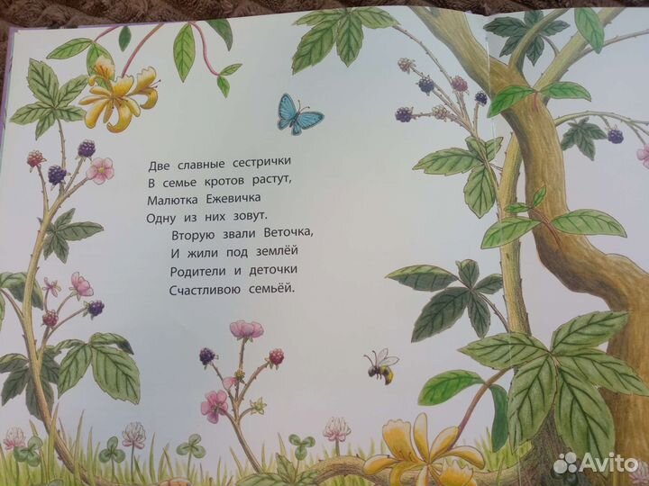 Книги Амбер Стюарт