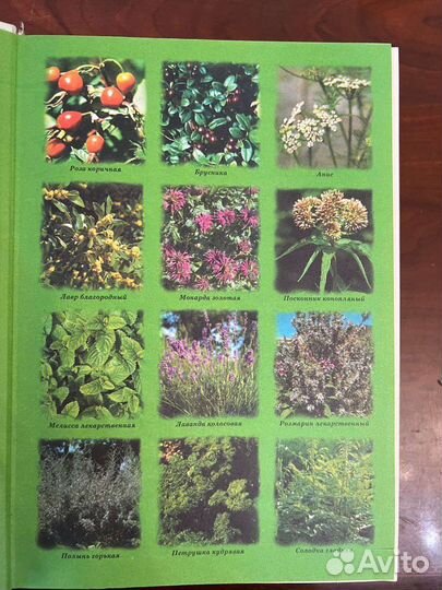 Энциклопедия народной медицины