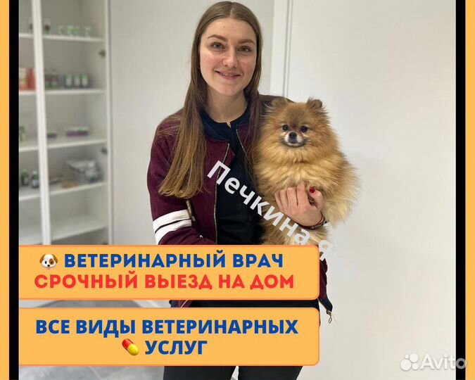 Ветеринарный врач на дом, Вакцинация, Ветеринар