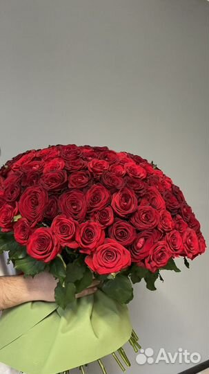 101 роза, букет цветов