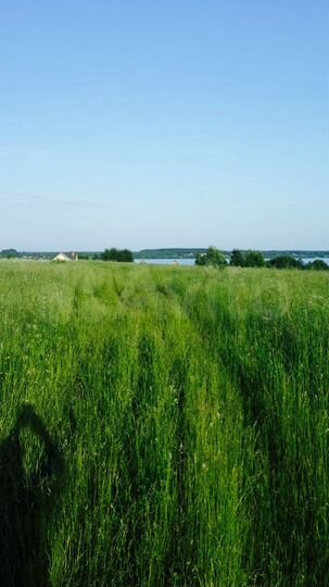 Участок 1,2 га (ИЖС)