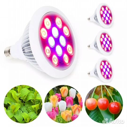 Фитолинейка для растений 20w 5R+1В IP20. Фито