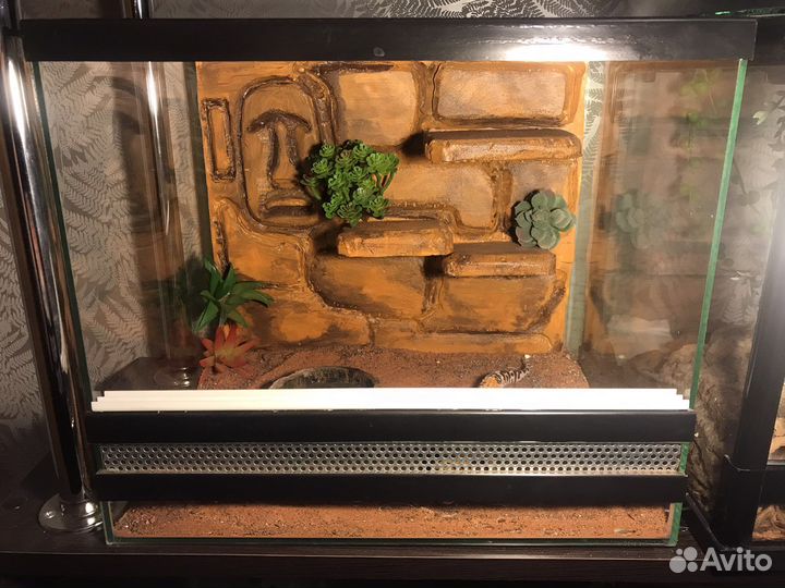 Террариум для рептилий