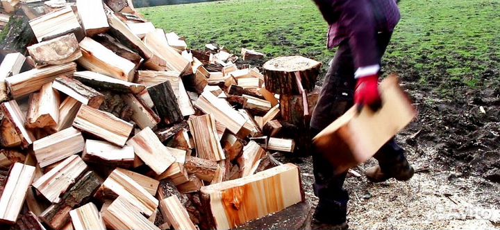 Дрова береза осина ольха