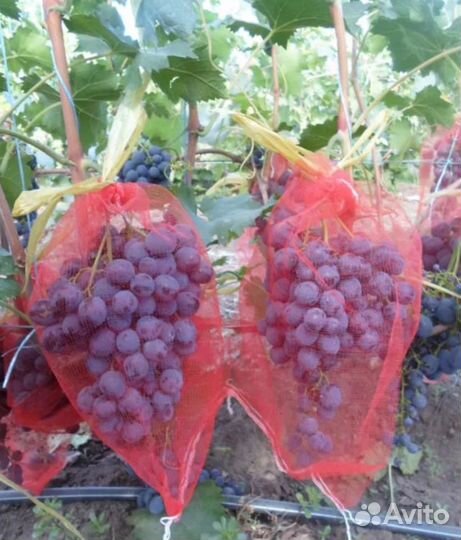 Мешочки для винограда от ос