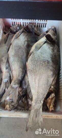 Рыба вяленная