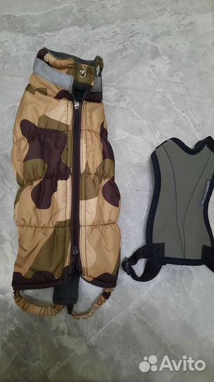 Жилетка для цвергпинчера