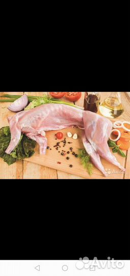 Мясо кролика