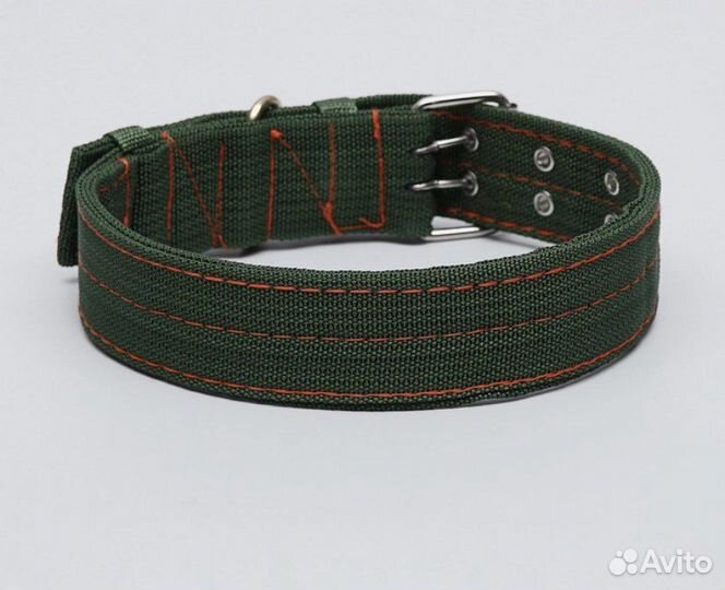 Ошейник для собак