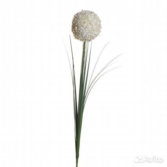 8J-13RS0014 Алиум кремовый 80 см (24)