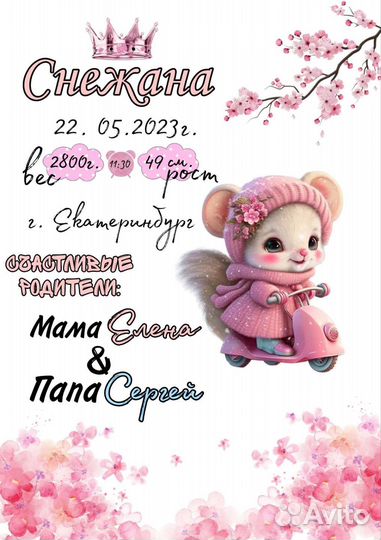 Метрика, прайс