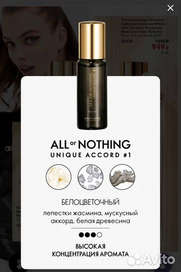 Туалетная вода All or Nothing Unique Accord #1