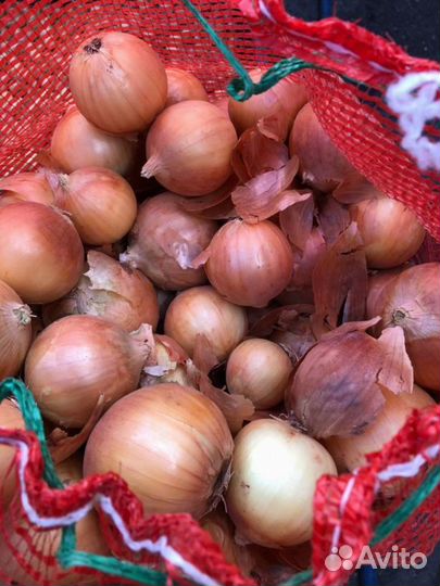 Картофель свои лук морковь свекла