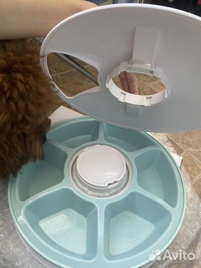 Автокормушка для собак