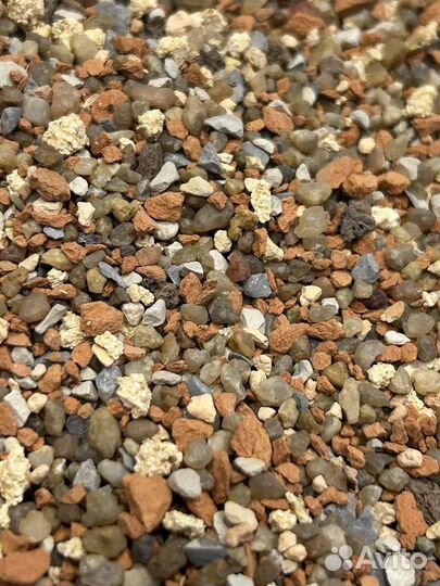 Грунт для суккулентов