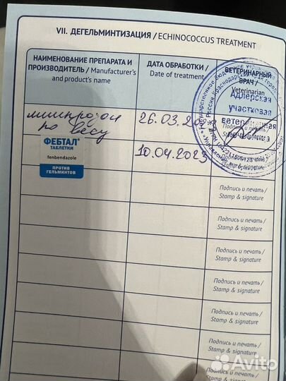 Собаки щенки маленькой породы