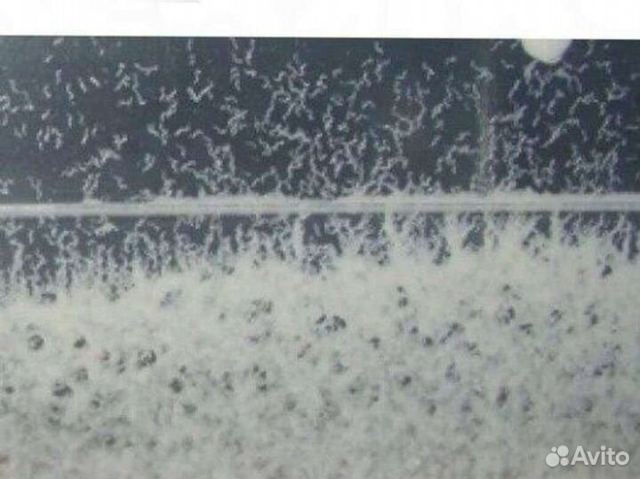 Нематода. Для старта разведения