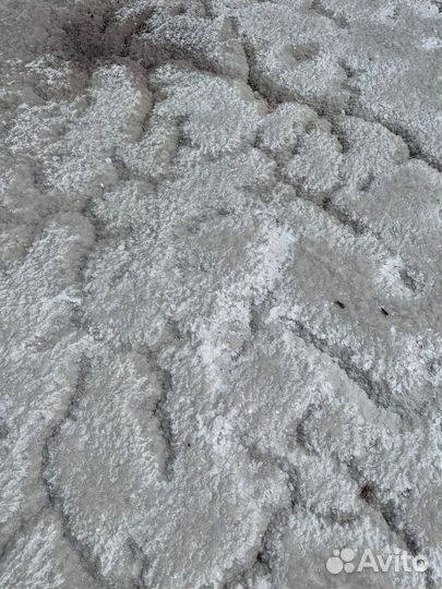 Проведение экскурсии на соленое озеро Баскунчак