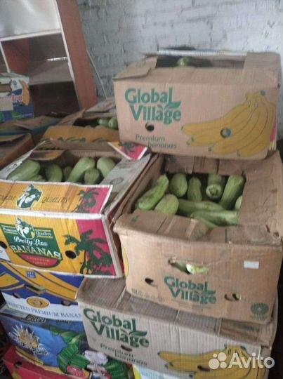 Кабачки свежие