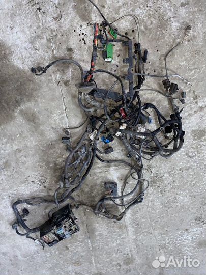 Проводка Ford Focus CB4 shda 2008