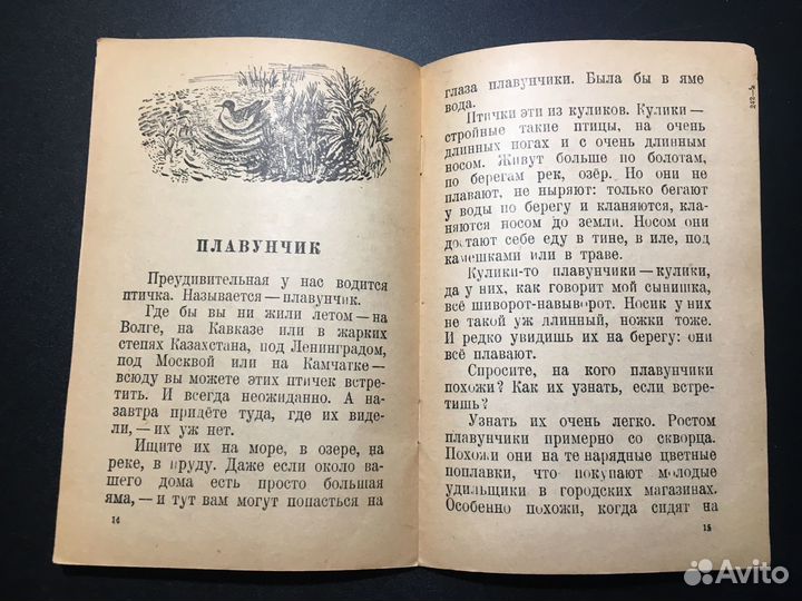 Кузя двухвостый, Виталий Бианки, 1948