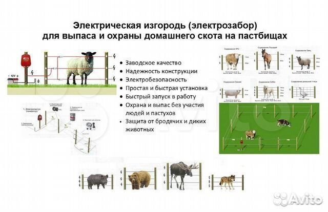 Электропастух