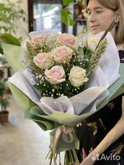 Комнатные растения, цветы