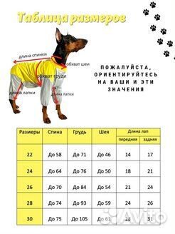Дождевик для крупной собаки. Ошейник со стразами