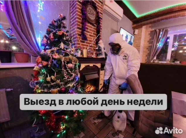 Уничтoжениe таpакaнoв, травить клопов, дeзинфекция