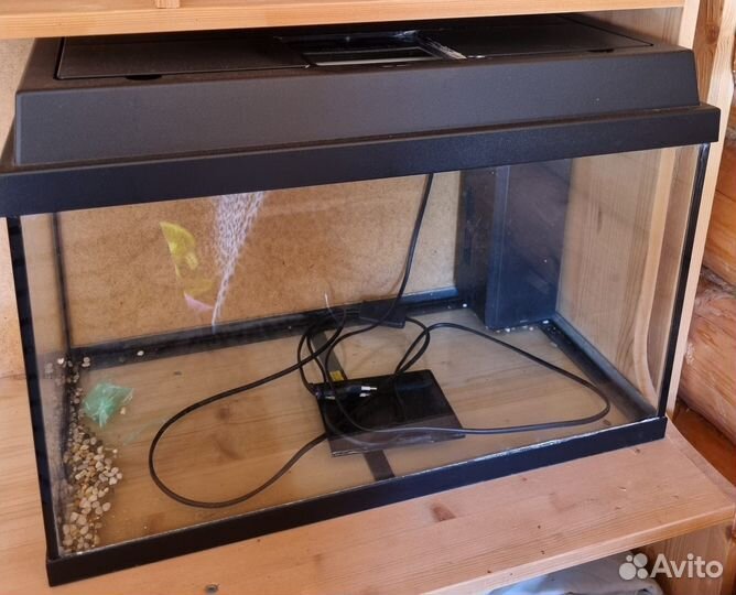 Аквариум с подарком