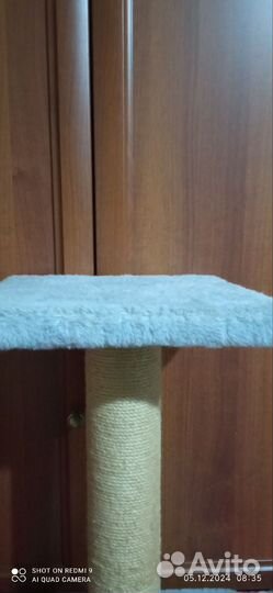 Когтеточка