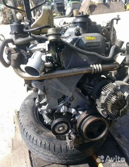 Двигатель Ниссан Навара 2,5cdi (d25)