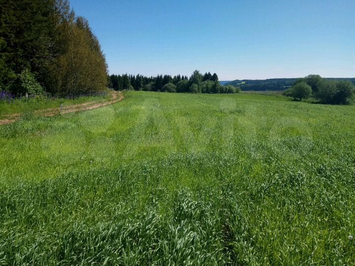 Участок 4,2 га (СНТ, ДНП)