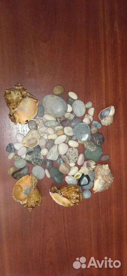 Ракушки и камушки