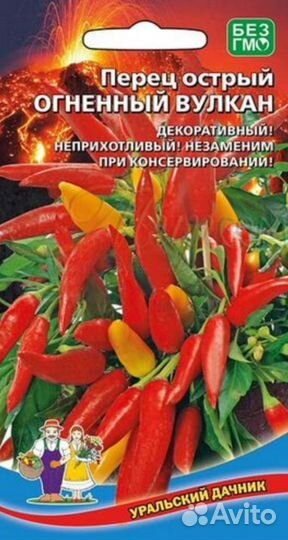 Перец комнатный острый