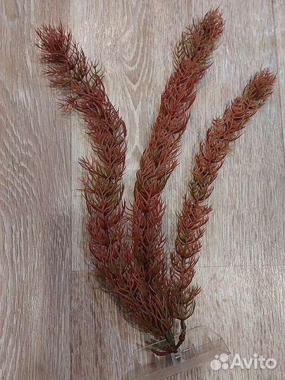 Аквариумный декор