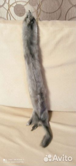 Шкурка животного