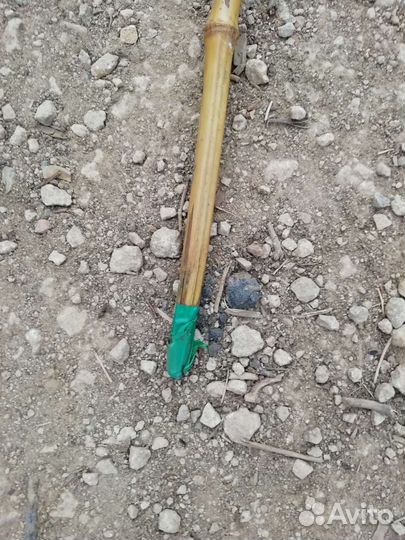 Удочка бамбуковая СССР