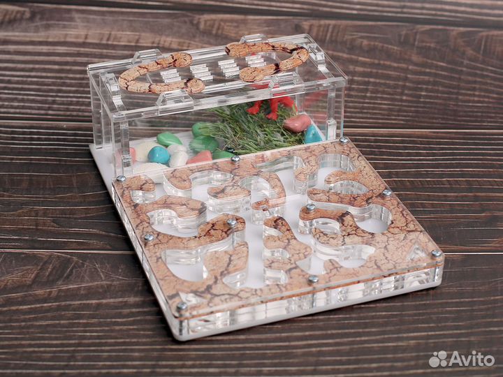 Муравьиная ферма с муравьями в Королёв