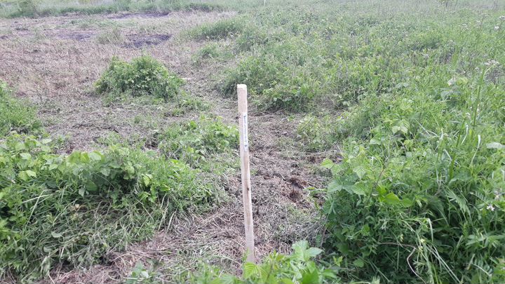 Участок 5 сот. (ИЖС)