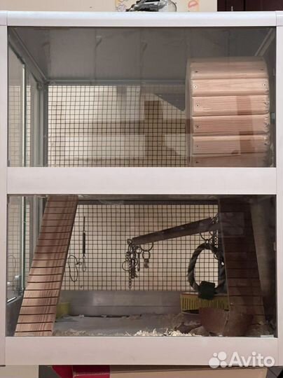 Джунгарский хомяк девочка с вольером