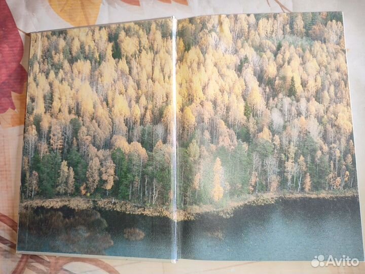 Петрозаводск. Фотоальбом. Петропресс 1993