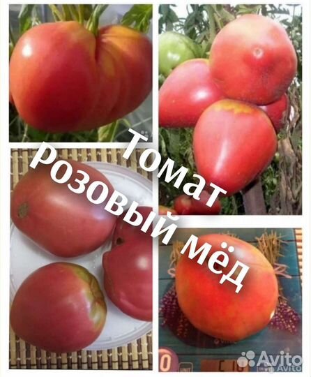 Семена коллекционных и Биф сортов томатов