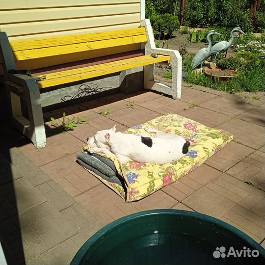 Скамейка садовая