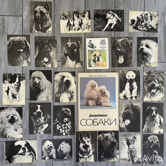 Винтажные открытки, книги