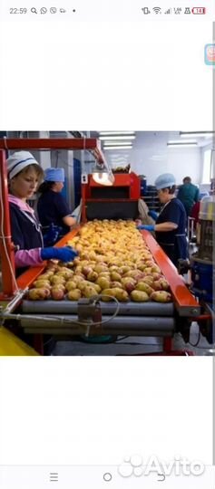 Разнорабочий вахта