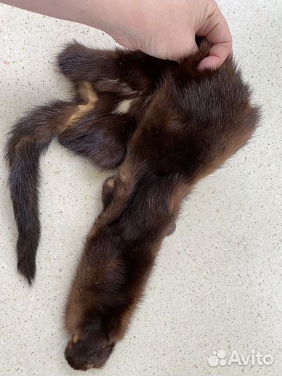 Шкурки норки
