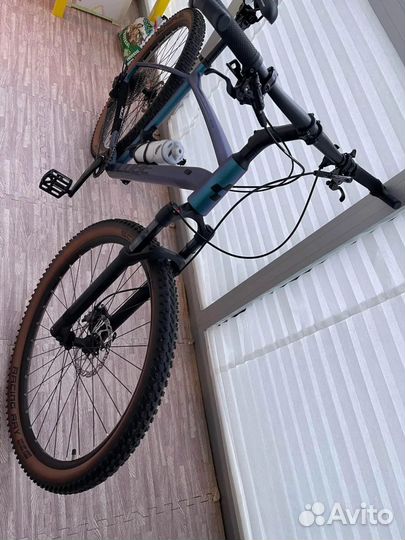 Cube Reaction Pro 2023